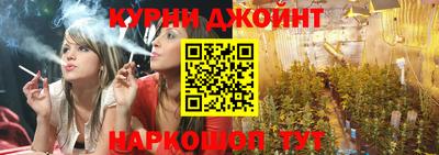 трава Кинель