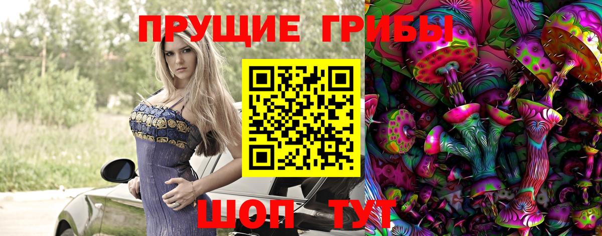 Снежинск  Псилоцибиновые грибы Psilocybine cubensis  Вход с VPN 